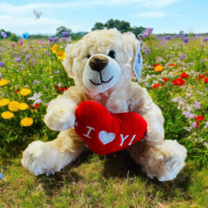 ourson peluche